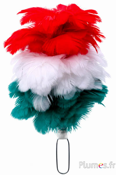 Pennacchio gallina con anello - altezza 20 cm - verde-bianco-rosso